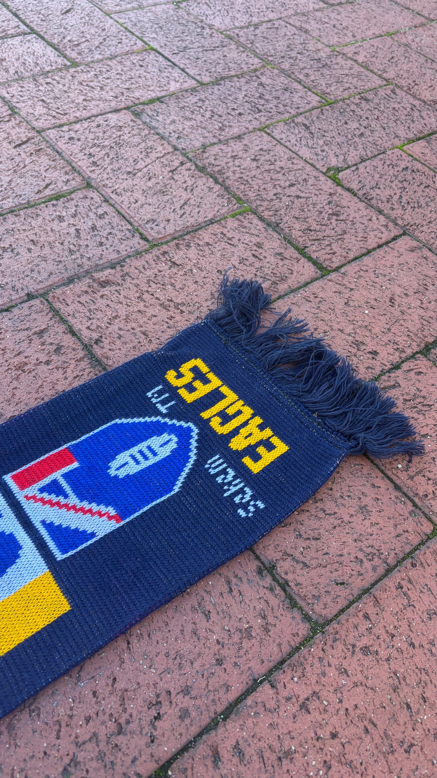 90s West Coast Eagles Scarf
