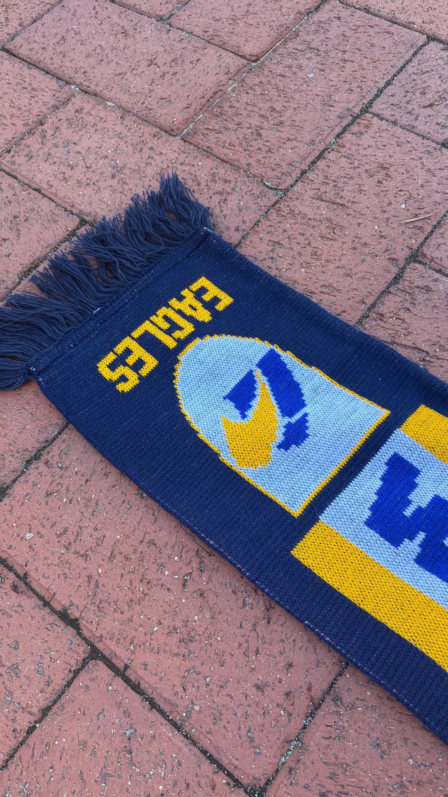 90s West Coast Eagles Scarf